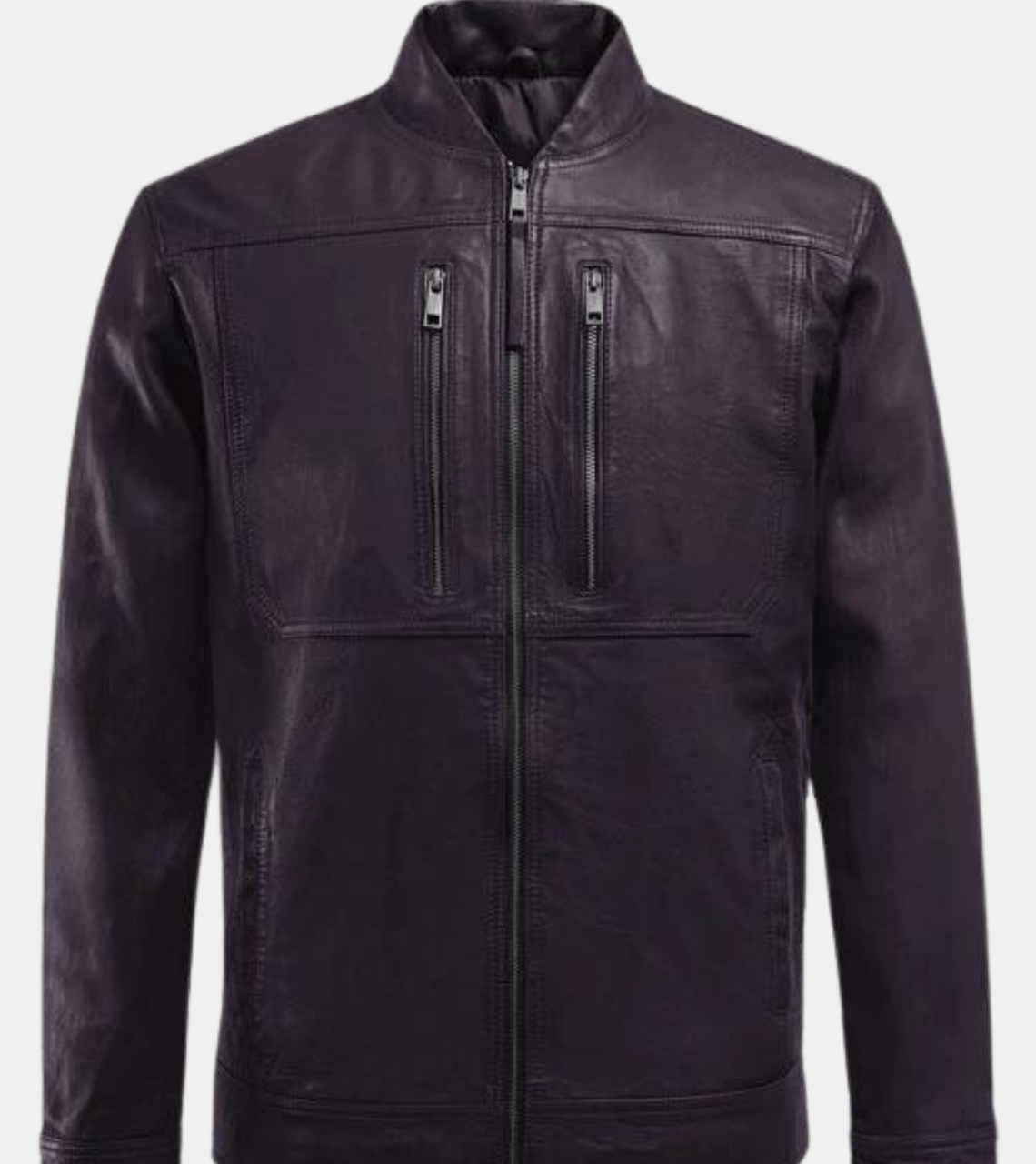 Riccardo Men's Violet Leather Jacket
