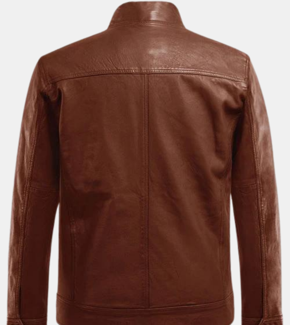 Riccardo Men's Tan Brown Leather Jacket Back